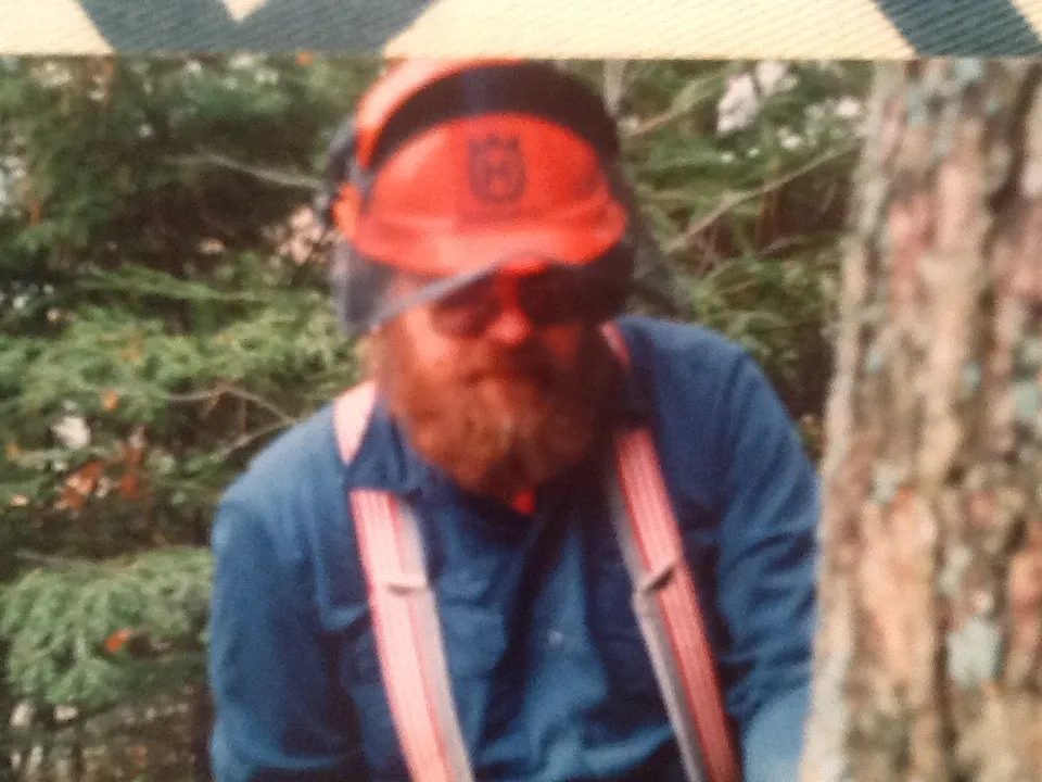 A horse loggers tale