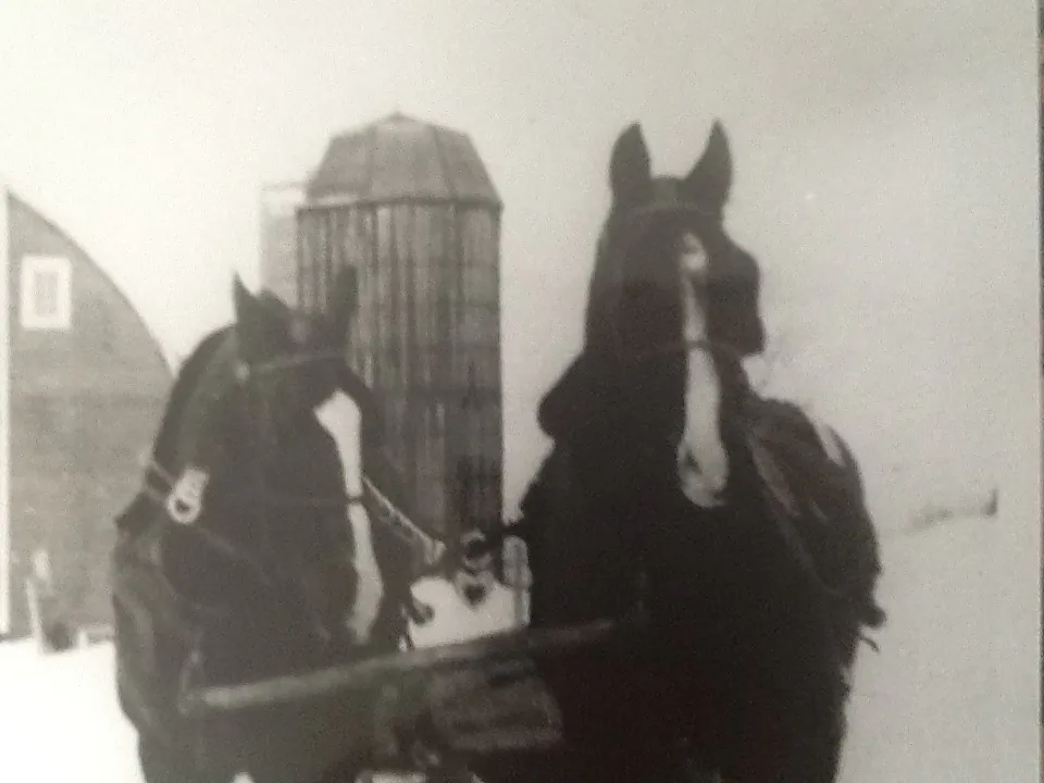 There is a blizzard coming…..