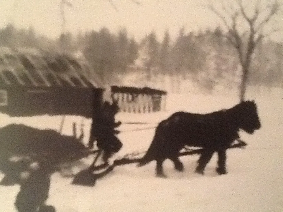 Why I never pursued a career in waste management