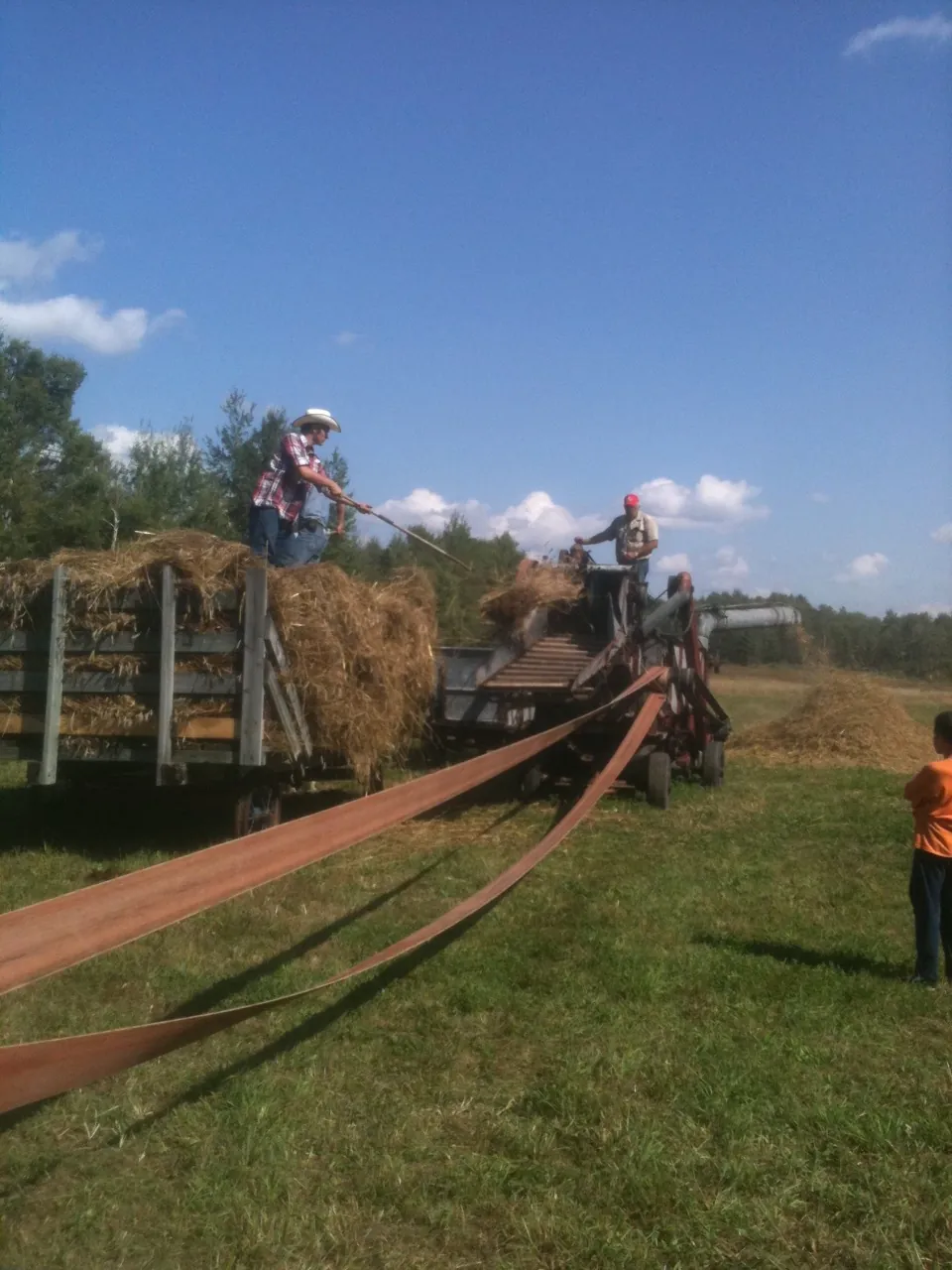 The threshing machine operated by a vintage Farmall Super M performed flawlessly.
