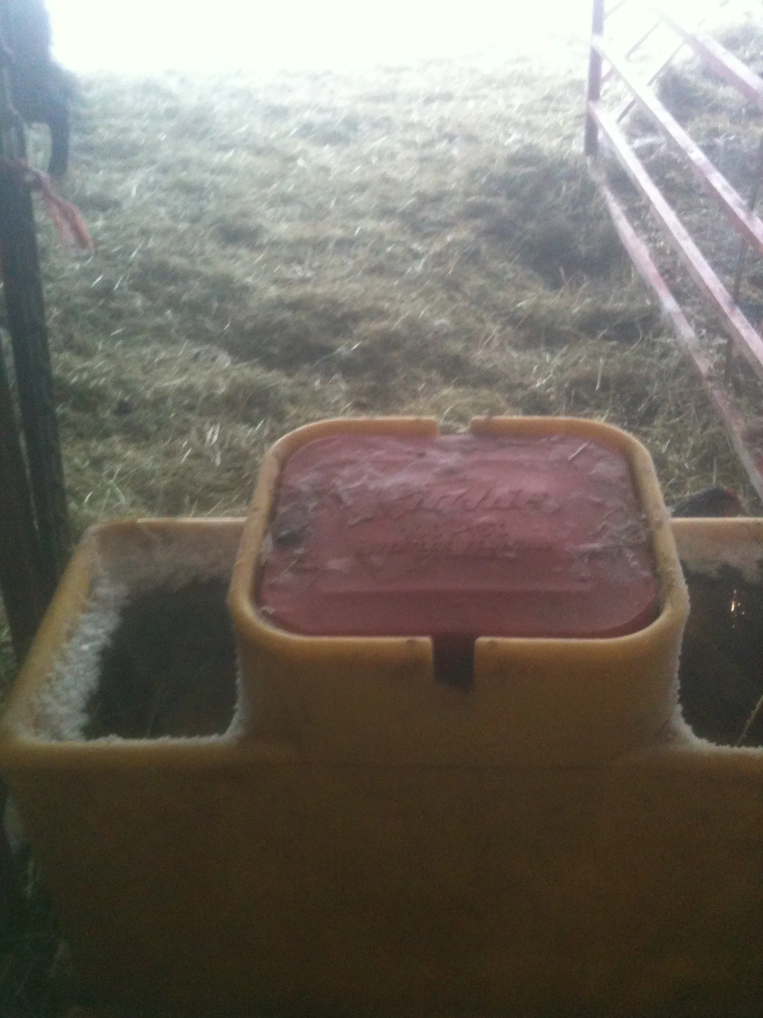 A steamy waterer is a welcome sight on a frigid morning.