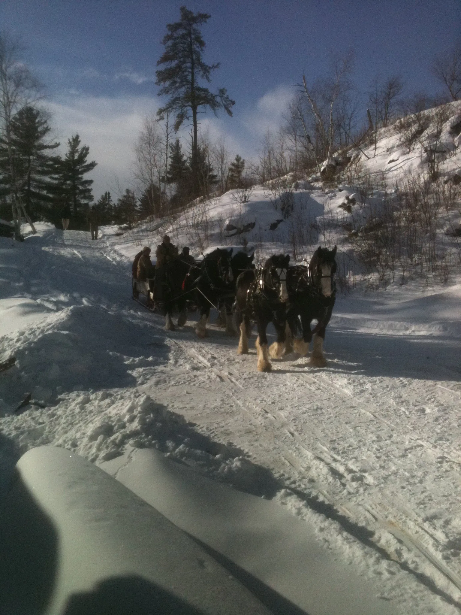 A four horse hitch pulled the sled load of ice up the steep grade