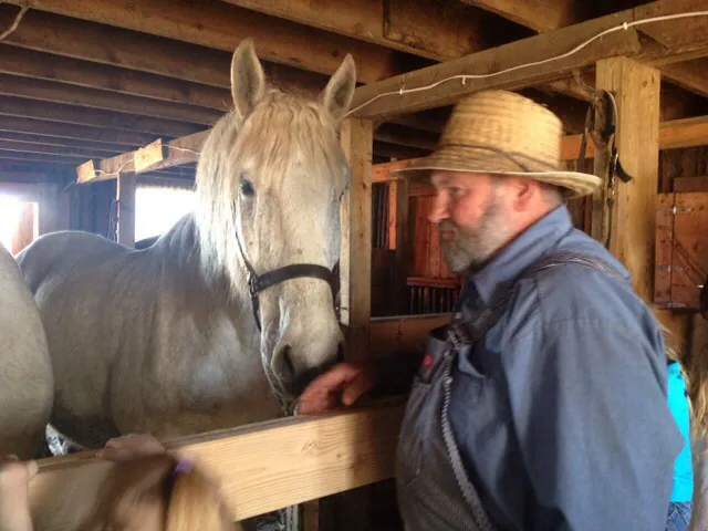 Up close and personal with a 2000 pound horse.