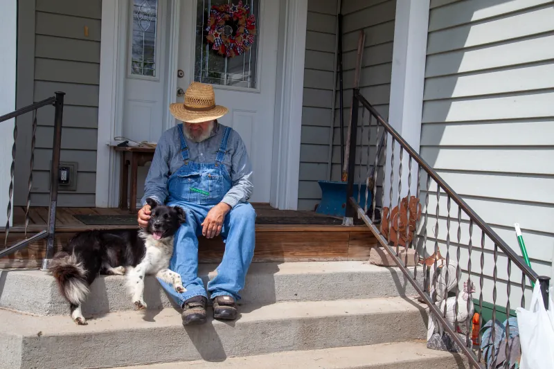 Farm Dogs photo 1