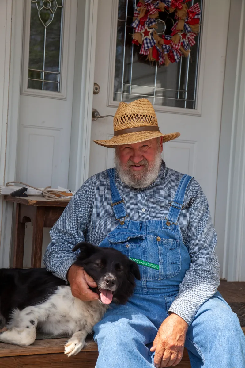 Farm Dogs photo 2