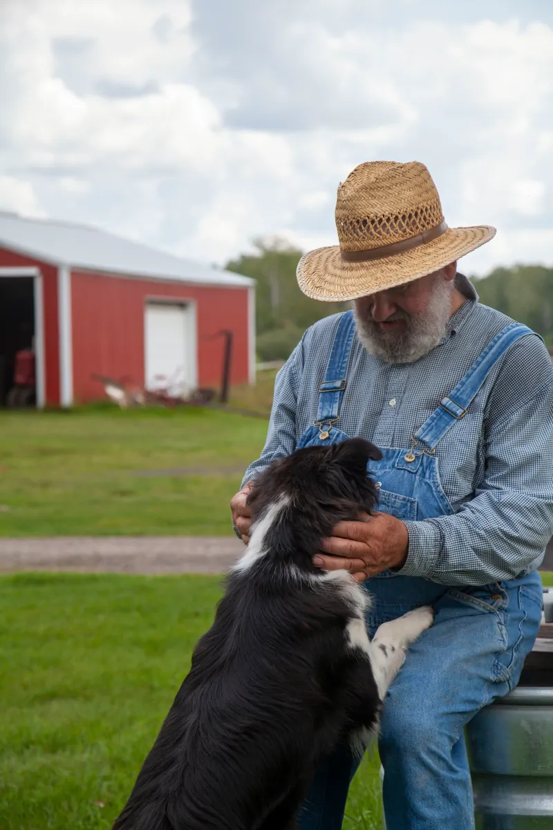 Farm Dogs photo 3