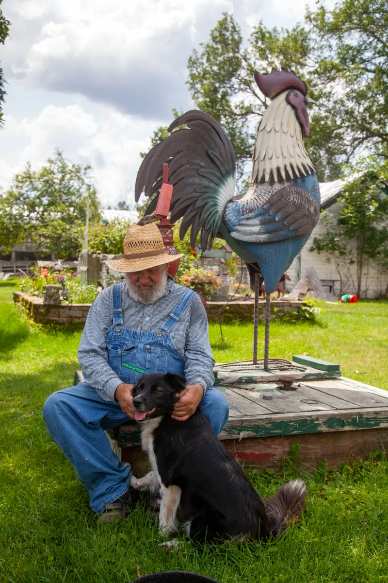 Farm Dogs photo 4