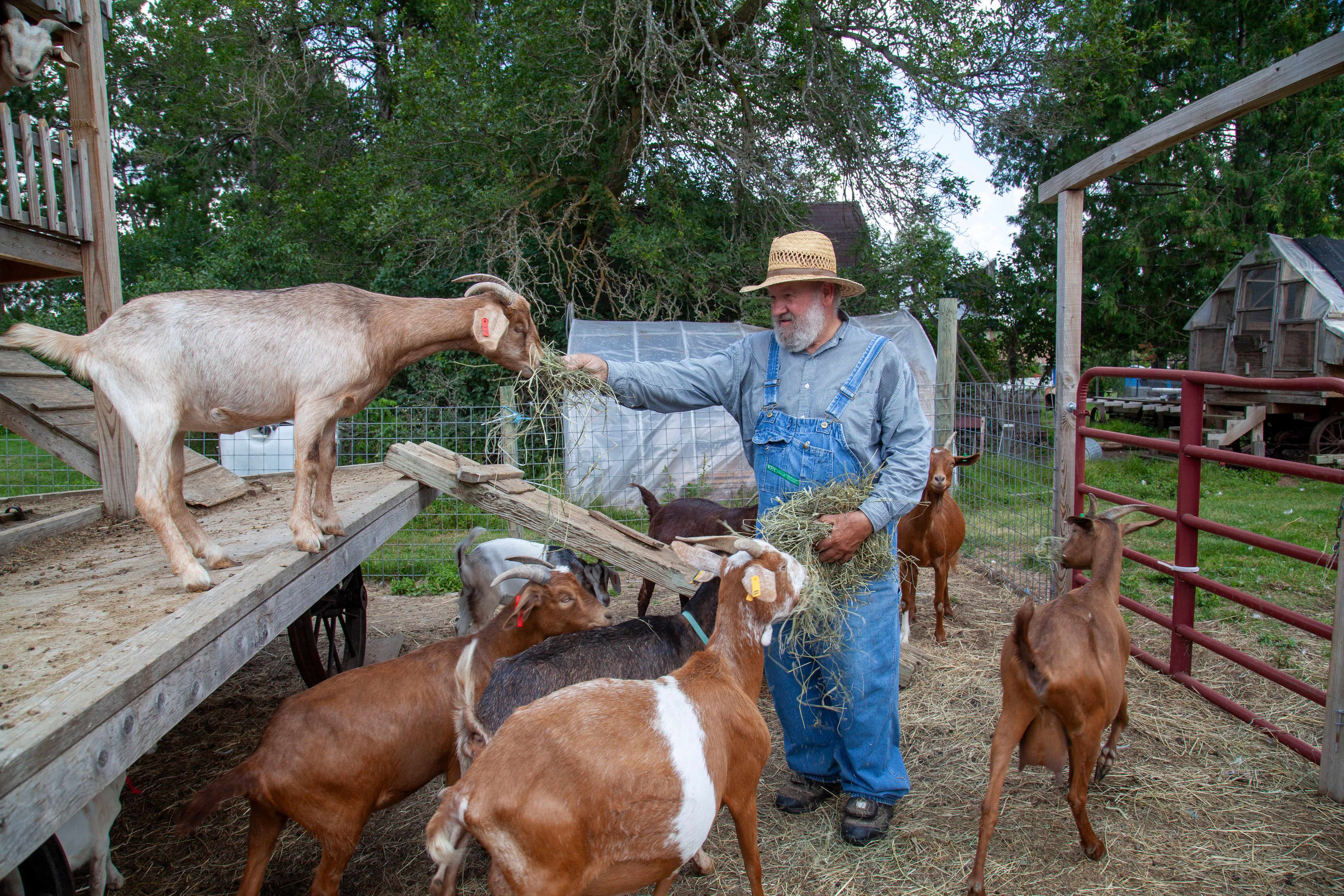 Students learning about farm animals during an educational field trip at Mr. Ed's Farm - Photo by Luke Mason