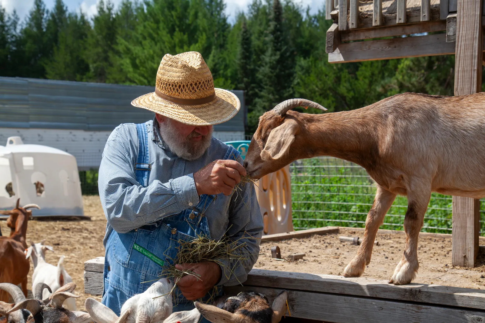 Visitors enjoying a hands-on farm tour at Mr. Ed's Farm