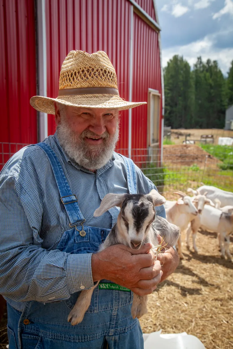 Goats photo 11