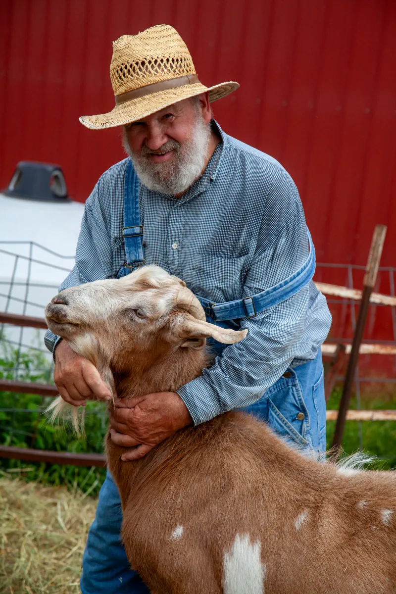 Goats photo 16