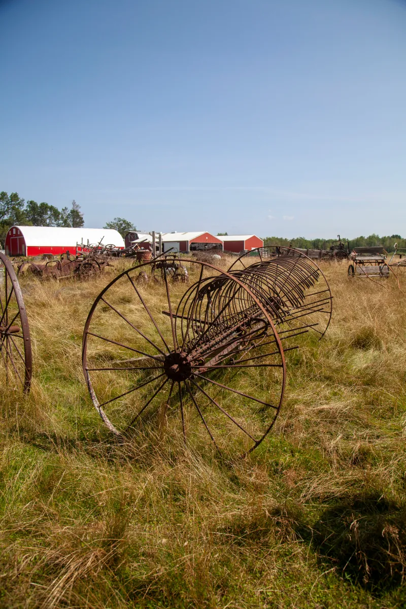 Farm Life photo 2