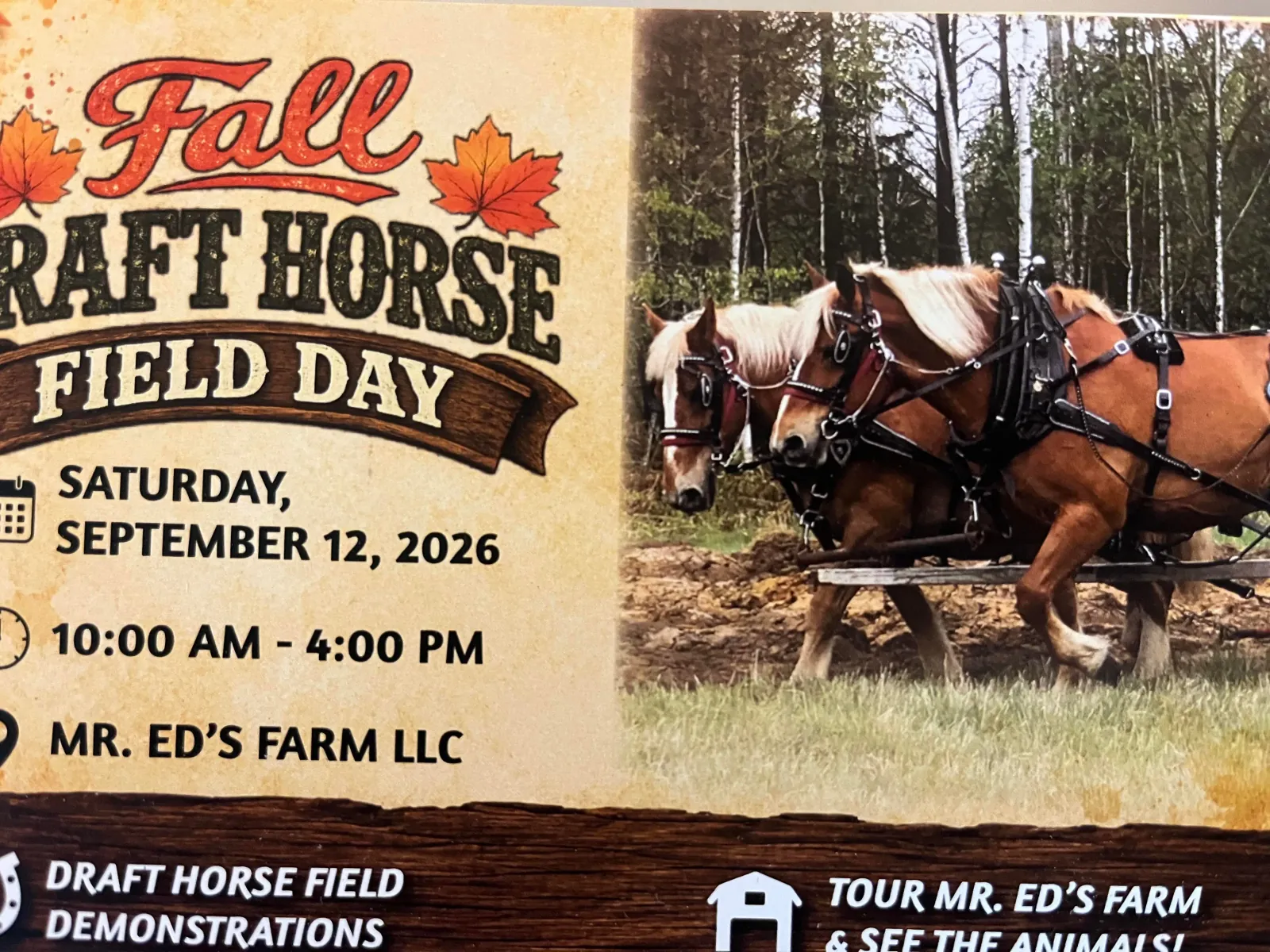Fall Field Day event postcard for Mr. Ed's Farm featuring draft horses at field work
