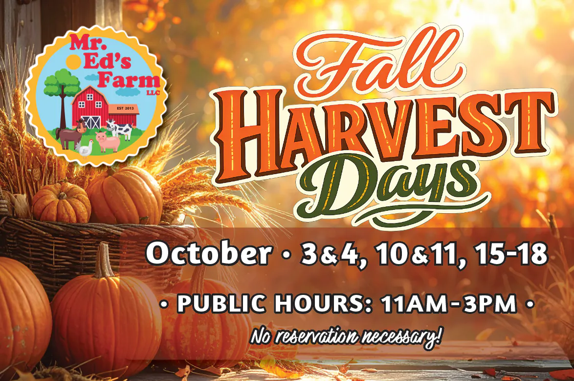 Fall Harvest Days event postcard for Mr. Ed's Farm with October dates and activities