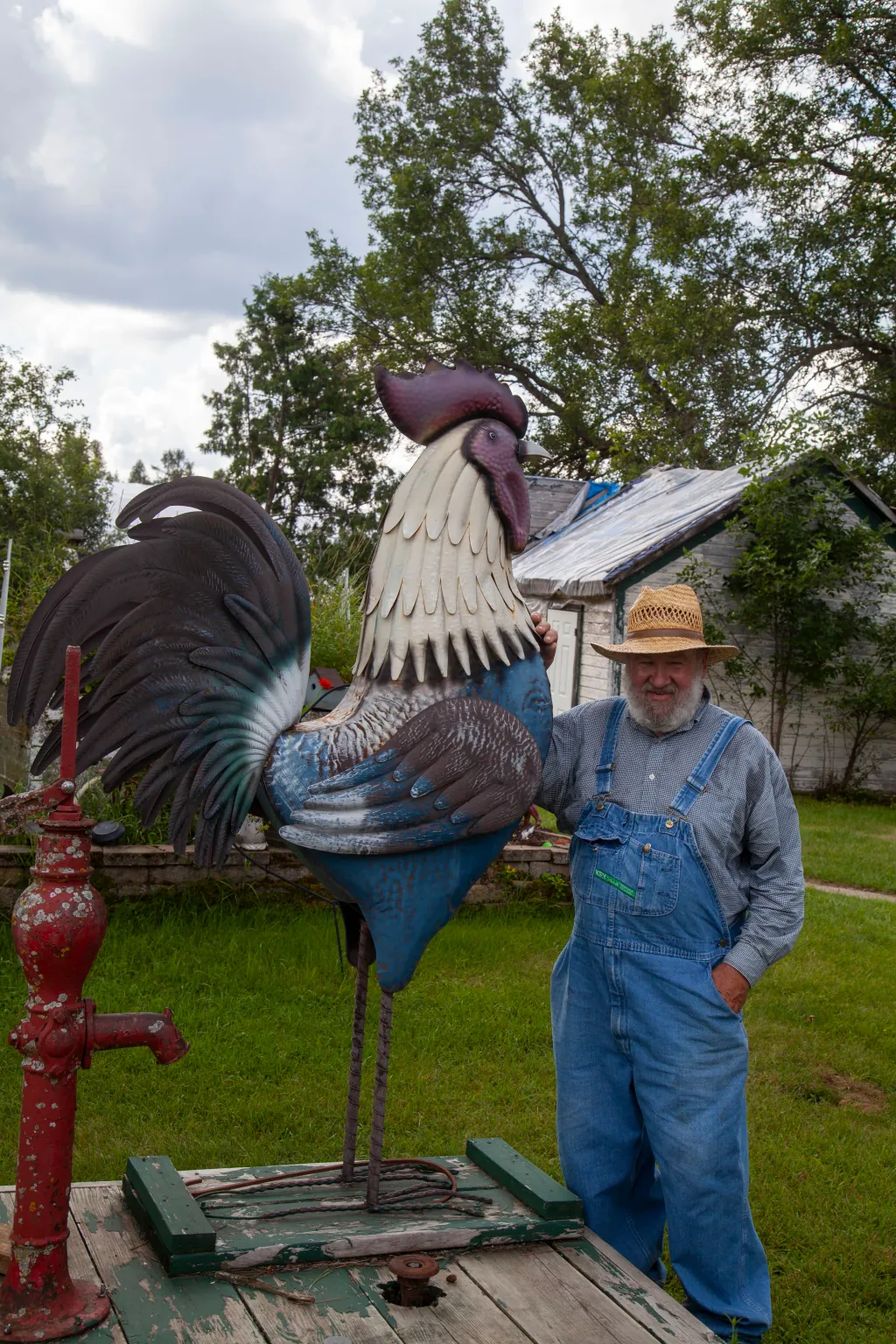 Mr. Ed & Mrs. Ed photo 1
