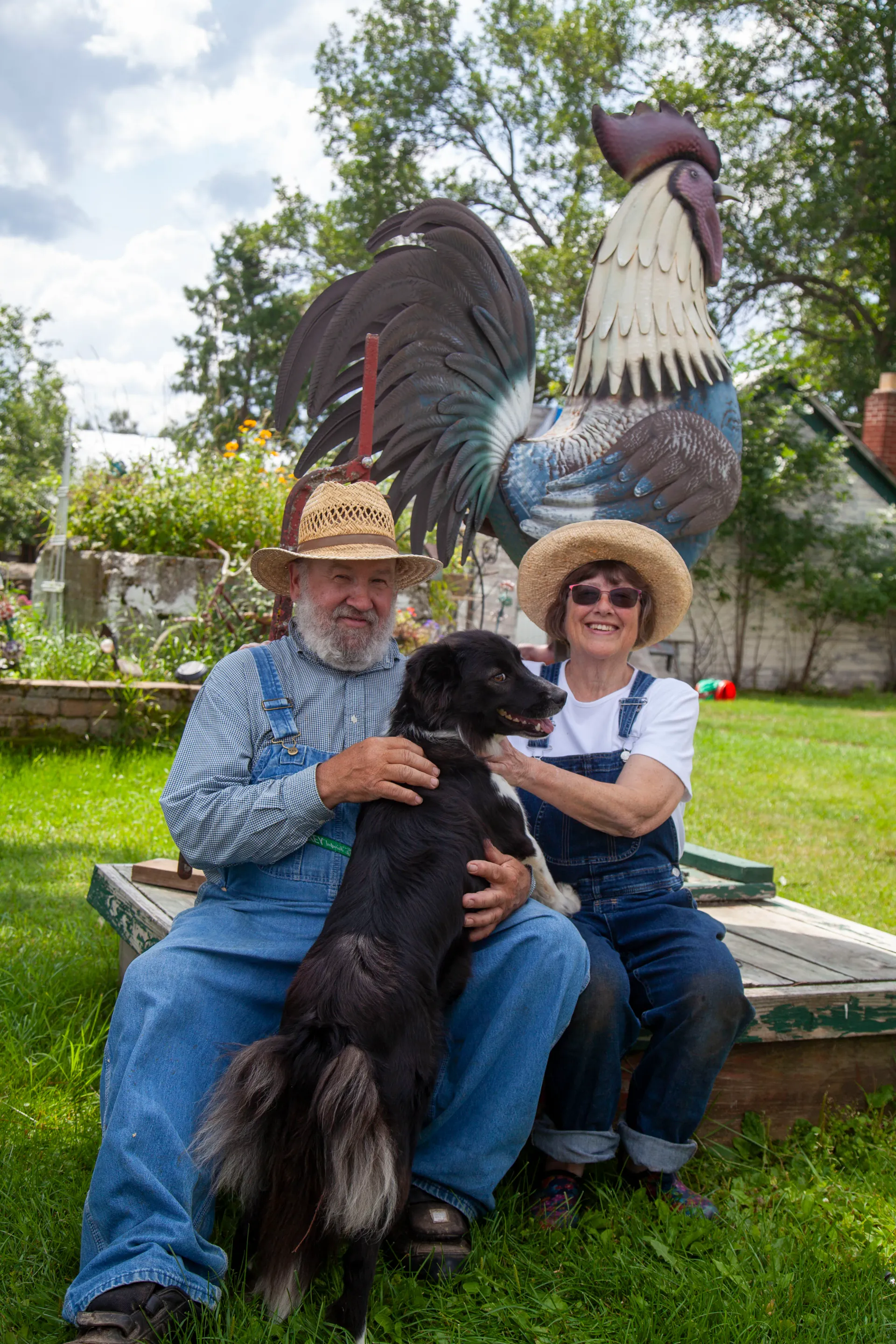 Mr. Ed at the farm - Photo by Luke Mason