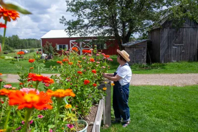 Mr. Ed & Mrs. Ed photo 6