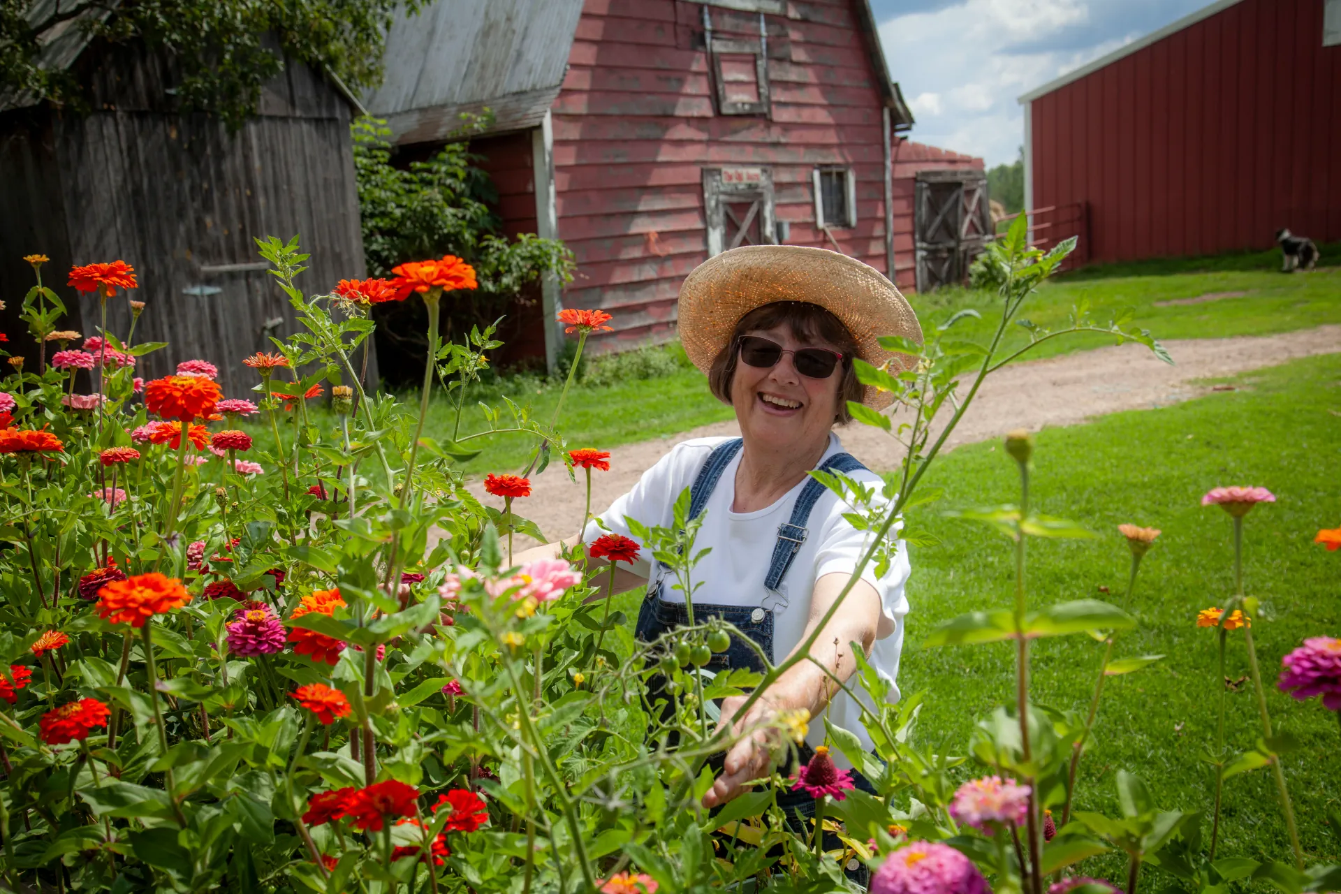 Mr. Ed and Mrs. Ed at the farm - Photo by Luke Mason