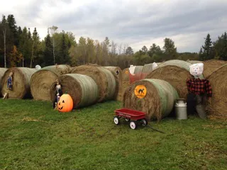 Visitor photo from the farm