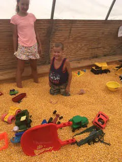 Visitors exploring the corn maze