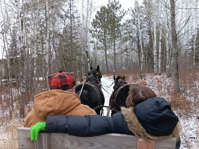 Horse-drawn sleigh ride through snowy trails at Mr. Ed's Farm