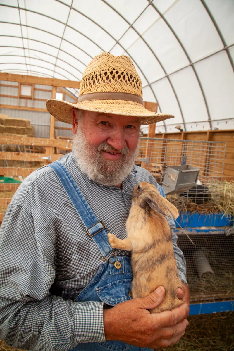 Rabbits photo 3