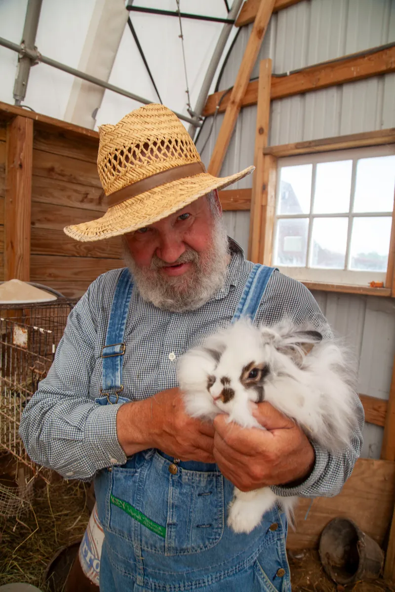 Rabbits photo 4