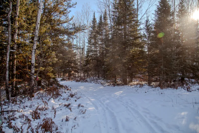 Sleigh Rides photo 1